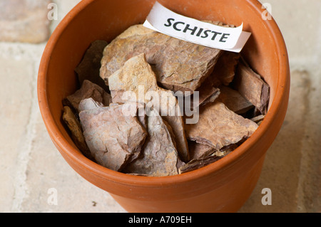 Impianto pot con campione di suolo che illustrano diversi tipi di suolo, parte di una serie: scisto di scisto Chateau Villerambert-Julien vicino Caunes-Minervois. Minervois. Languedoc. Il terroir del suolo. La Francia. L'Europa. Lo scisto è il terreno di ardesia. Foto Stock