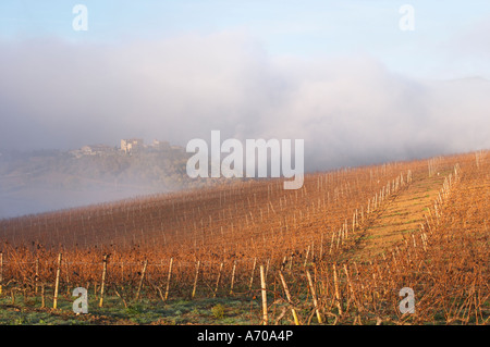 View over Roquetaillade village in morning mist clouds. Domaine Jean Louis Denois. Limoux. Languedoc. An early winter morning with mist still laying low and sunshine glowing golden. France. Europe. Vineyard. Foto Stock