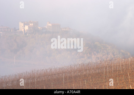 View over Roquetaillade village in morning mist clouds. Domaine Jean Louis Denois. Limoux. Languedoc. An early winter morning with mist still laying low and sunshine glowing golden. France. Europe. Vineyard. Foto Stock