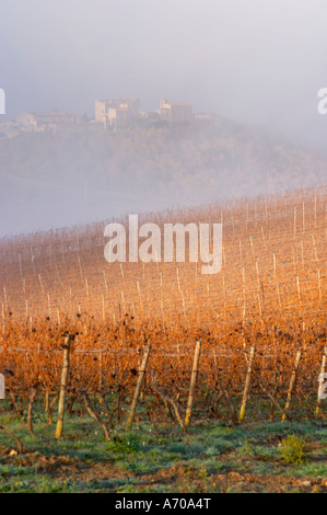 View over Roquetaillade village in morning mist clouds. Domaine Jean Louis Denois. Limoux. Languedoc. An early winter morning with mist still laying low and sunshine glowing golden. France. Europe. Vineyard. Foto Stock