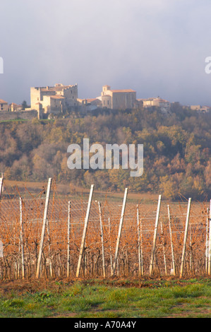 View over Roquetaillade village in morning mist clouds. Domaine Jean Louis Denois. Limoux. Languedoc. Young vines. An early winter morning with mist still laying low and sunshine glowing golden. France. Europe. Vineyard. Foto Stock