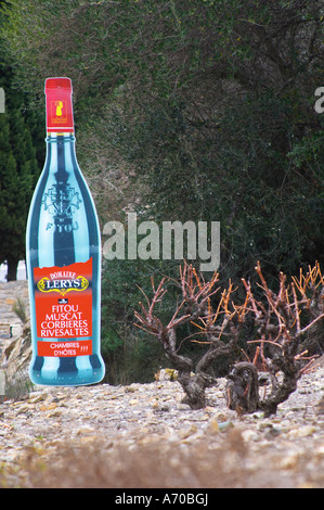 Domaine Lerys, Fitou, Muscat Corbieres, Rivesaltes. Fitou. Languedoc. La Francia. L'Europa. Bottiglia. Vigneto. Foto Stock