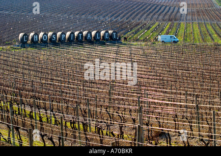 Domaine Gerard Bertrand, Chateau l'Hospitalet. La Clape. Languedoc. Metallo fili di supporto per i vitigni rendendo graphic riflessioni nella vigna. La Francia. L'Europa. Foto Stock