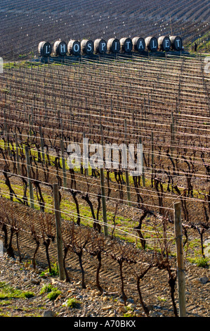 Domaine Gerard Bertrand, Chateau l'Hospitalet. La Clape. Languedoc. Metallo fili di supporto per i vitigni rendendo graphic riflessioni nella vigna. La Francia. L'Europa. Foto Stock