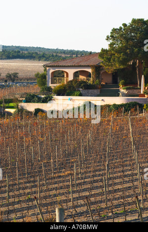 La Clape. Languedoc. Domaine du Mas Soleilla. La villa. L'edificio principale. Il vigneto. La Francia. L'Europa. Foto Stock