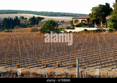 La Clape. Languedoc. Domaine du Mas Soleilla. La villa. L'edificio principale. Il vigneto. La Francia. L'Europa. Foto Stock