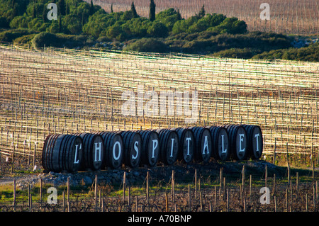 Domaine Gerard Bertrand, Chateau l'Hospitalet. La Clape. Languedoc. Metallo fili di supporto per i vitigni rendendo graphic riflessioni nella vigna. La Francia. L'Europa. Foto Stock