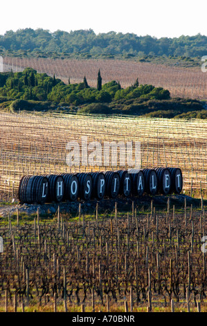 Domaine Gerard Bertrand, Chateau l'Hospitalet. La Clape. Languedoc. Metallo fili di supporto per i vitigni rendendo graphic riflessioni nella vigna. La Francia. L'Europa. Foto Stock