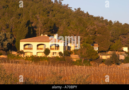 La Clape. Languedoc. Domaine du Mas Soleilla. La villa. L'edificio principale. Il vigneto. La Francia. L'Europa. Foto Stock