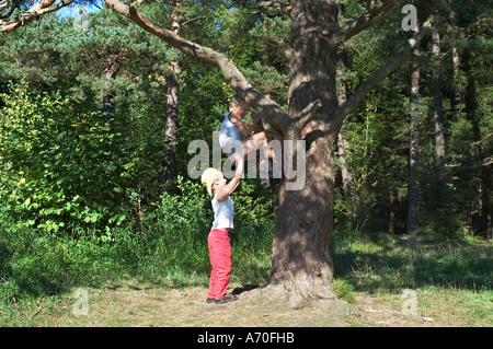 6 anno vecchio ragazzo aiutare il suo fratello più anziano di un albero della foresta Perlacher Monaco di Baviera Germania Foto Stock