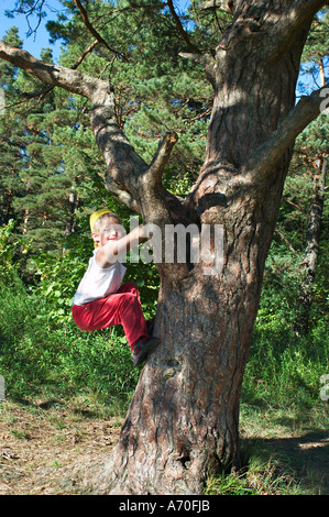 6 anno vecchio ragazzo cercando di salire su un albero della foresta Perlacher Monaco di Baviera Germania Foto Stock