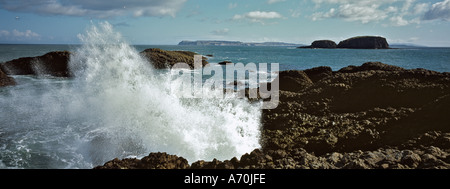 Rottura d'onda sulle rocce BALLINTOY pecore isola e isola di Rathlin nel retro del nord di terra costa di Antrim IRLANDA DEL NORD REGNO UNITO Foto Stock