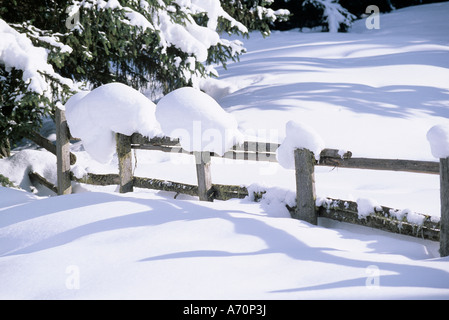 Zaun im recinzione invernale con la neve Foto Stock