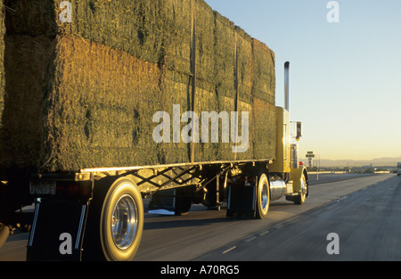 Carrello americano sulla superstrada, Nevada, STATI UNITI D'AMERICA Foto Stock