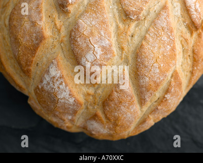 Crostini di pane bianco - fascia alta Hasselblad 61mb di immagine digitale Foto Stock