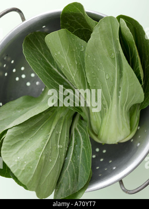 Pak choi in acciaio lucido scolapasta sul verde pallido sfondo - high end Hasselblad 61mb di immagine digitale Foto Stock