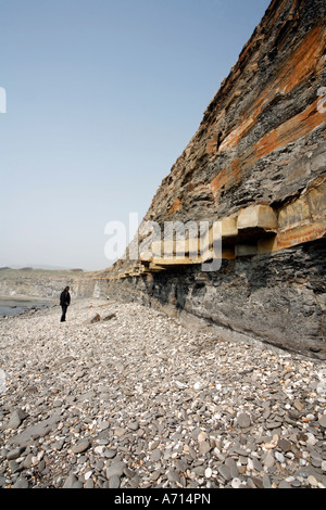 Kimmeridge Jurassic Shale letti in scogliera sul mare Foto Stock