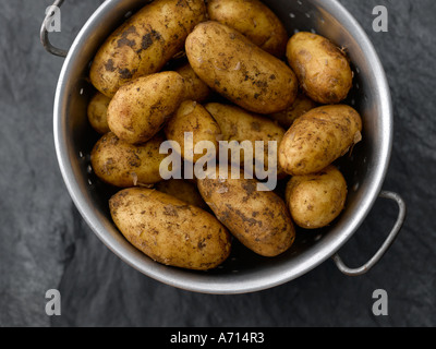 Patate in scolapasta su ardesia scura sullo sfondo - high end Hasselblad 61mb di immagine digitale Foto Stock