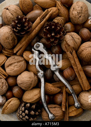 I dadi misti cannella e pigne - fascia alta Hasselblad 61mb di immagine digitale Foto Stock