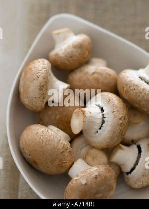 Funghi - high end Hasselblad 61mb di immagine digitale Foto Stock