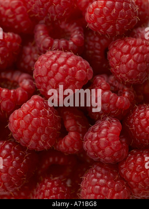 Raspberries - high end Hasselblad 61mb digital image Foto Stock