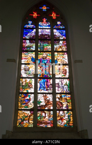 Vetrate colorate nella grande chiesa gotica protestante di San Bavo, Haarlem, Olanda settentrionale, con figure bibliche e animali. Foto Stock