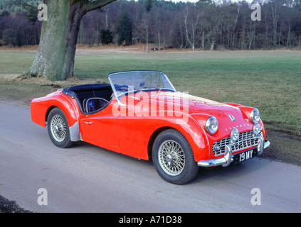 Trionfo 1959TR3A Foto Stock