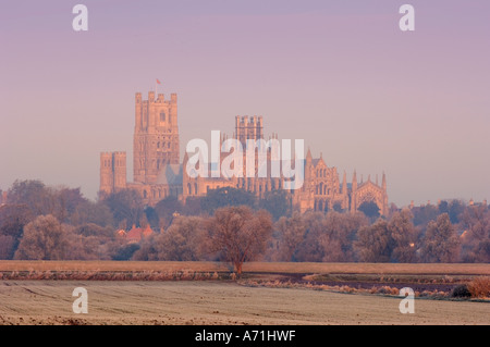 Cattedrale di Ely visto da le paludi nel periodo invernale Cambridgeshire in Europa Il Regno Unito Foto Stock