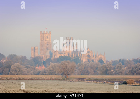 Cattedrale di Ely visto da le paludi nel periodo invernale Cambridgeshire in Europa Il Regno Unito Foto Stock