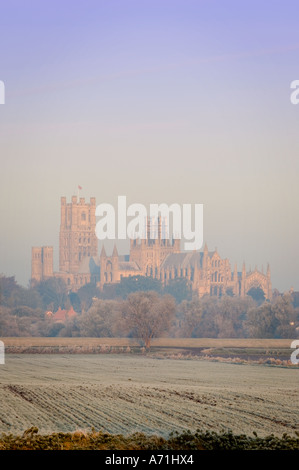 Cattedrale di Ely visto da le paludi nel periodo invernale Cambridgeshire in Europa Il Regno Unito Foto Stock