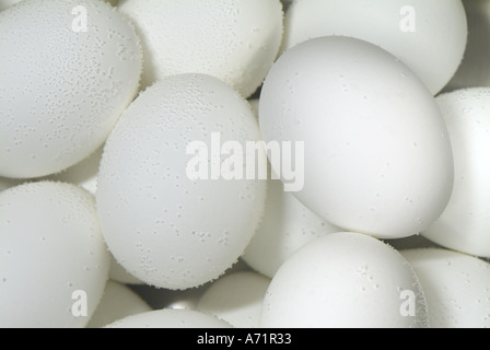 Bollire le uova in una pentola di acqua con bolle di aria aggrappandosi a loro Foto Stock