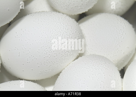 Bollire le uova in una pentola di acqua con bolle di aria aggrappandosi a loro Foto Stock