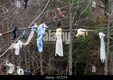 Ritagli di stoffa attaccato all'albero per ragioni superstiziose Scozia Scotland Foto Stock