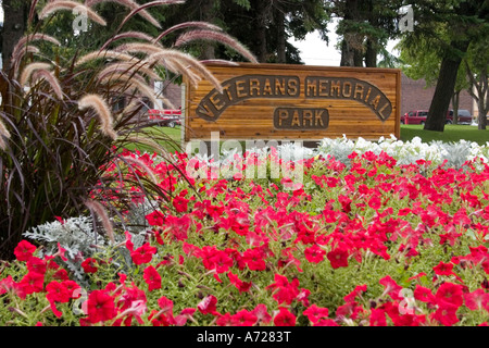 Red nelle petunie nel giardino della Veterans Memorial Park. Fergus Falls Minnesota USA Foto Stock