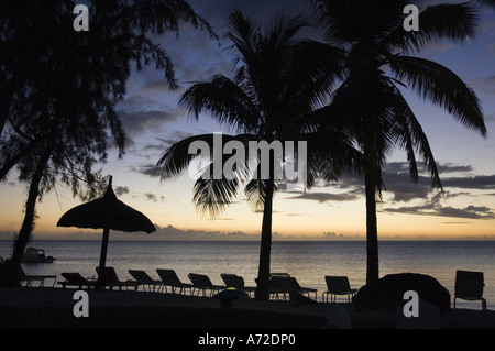 Palm tree su una spiaggia con aglowed sky al tramonto Foto Stock