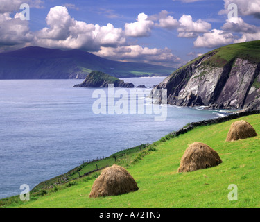 IE - CO. KERRY: Slea testa sulla penisola di Dingle Foto Stock