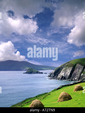 IE - CO. KERRY: Slea testa sulla penisola di Dingle Foto Stock