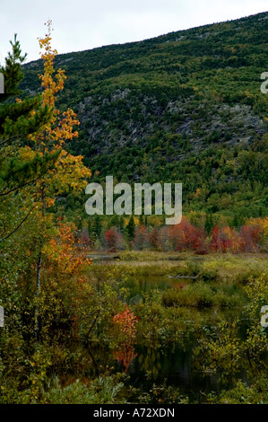 Colore di autunno vicino Sieur de Monts Acadia Nat Park ME Foto Stock