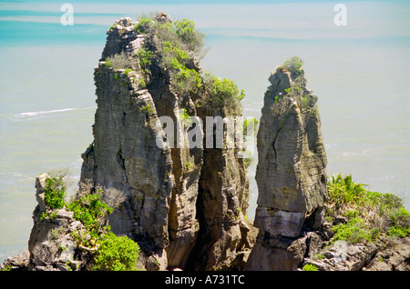 Pancake Punakaiki Rocks in Paparoa National Park Isola del Sud della Nuova Zelanda vista sud Foto Stock