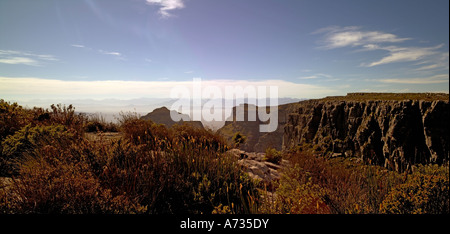 Vista dal Table Mountain e Cape Town, Sud Africa Foto Stock