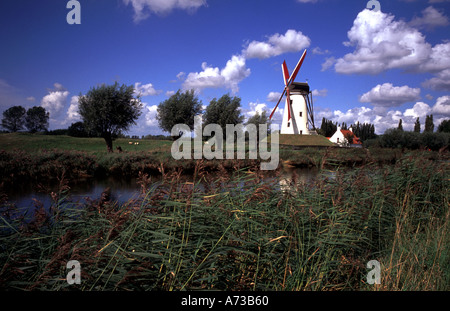 Il mulino a vento a canale Belgio Fiandre mulino a vento bianco Foto Stock