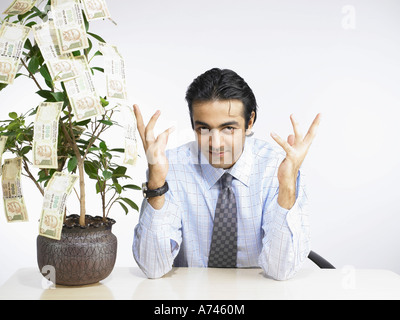VDA 201877 South Asian Indian executive seduti su una sedia denaro impianto sulla scrivania MR 702A Foto Stock