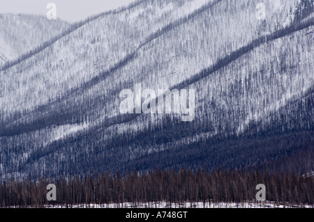 Sincline Ridge masterizzare Foto Stock