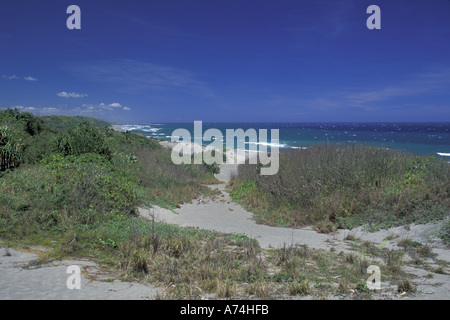 Fiji, Viti Levu, Sigatoka, Sigatoka dune di sabbia NP, dune di sabbia e spiaggia Foto Stock