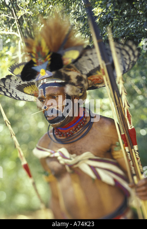 Papua Nuova Guinea, Tari Valley. Huli Wigman. Foto Stock