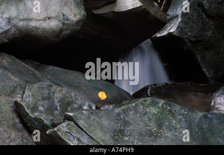 Montagna Bieszczady Polonia orientale Foto Stock
