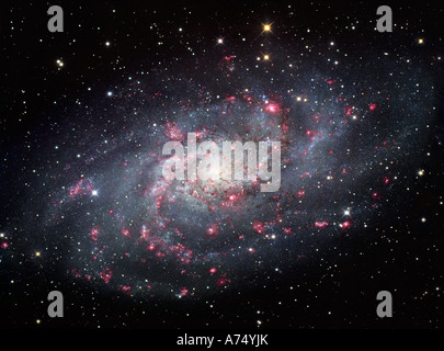 Il Triangulum Galaxy, noto anche come Messier 33 o NGC 598, Foto Stock