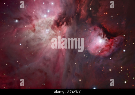 Una vista del trapezio regione, che si trova nel cuore della nebulosa di Orione. Foto Stock