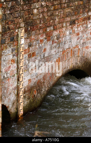 Fiume alti livelli sul fiume KENNET A DENFORD inferiore vicino a Hungerford Regno Unito Foto Stock