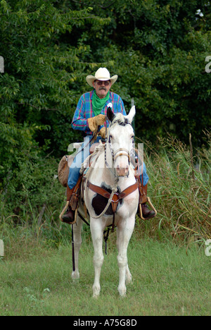 Un cowboy a cavallo in Bandera Texas Foto Stock
